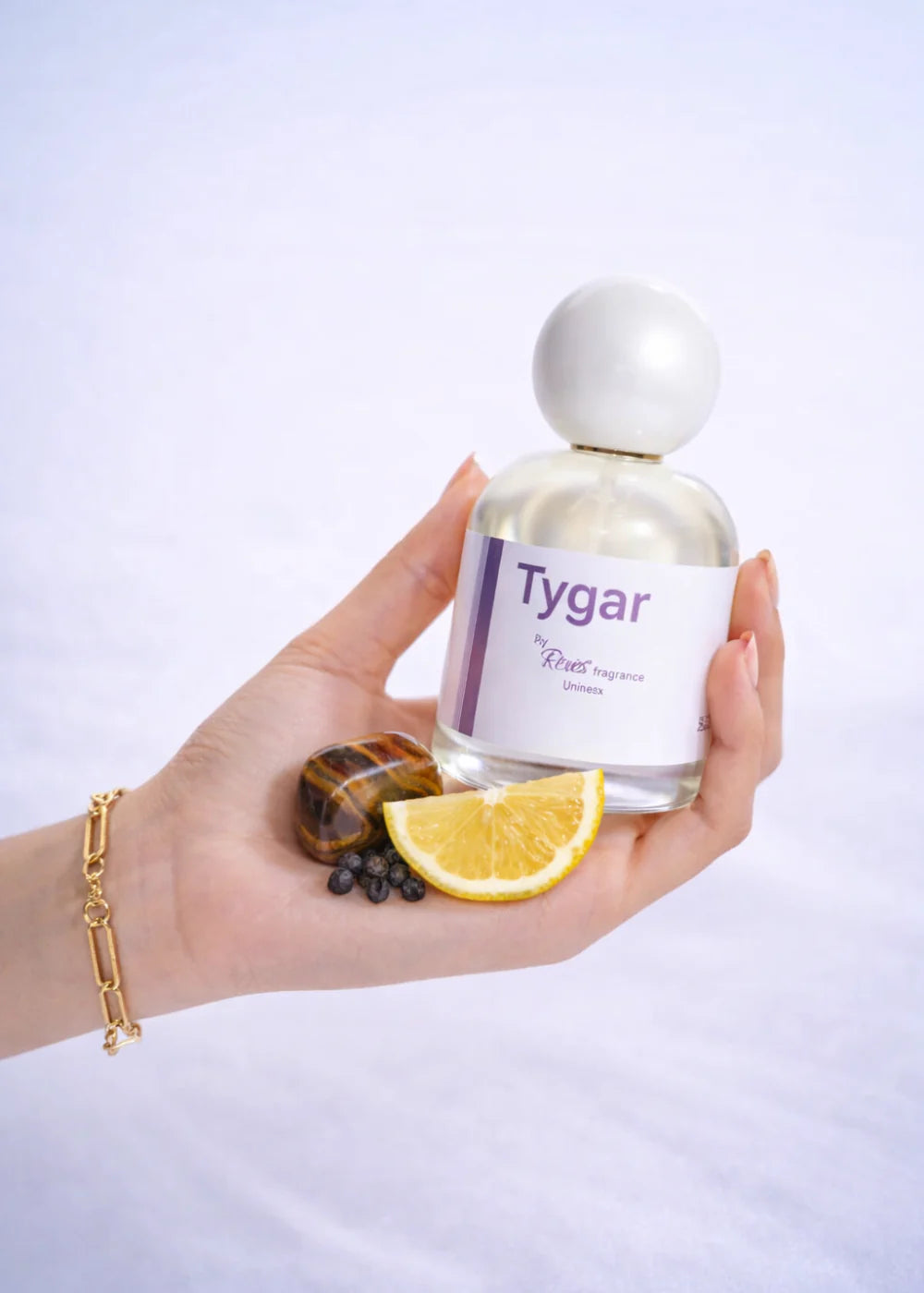 Reves Tygar